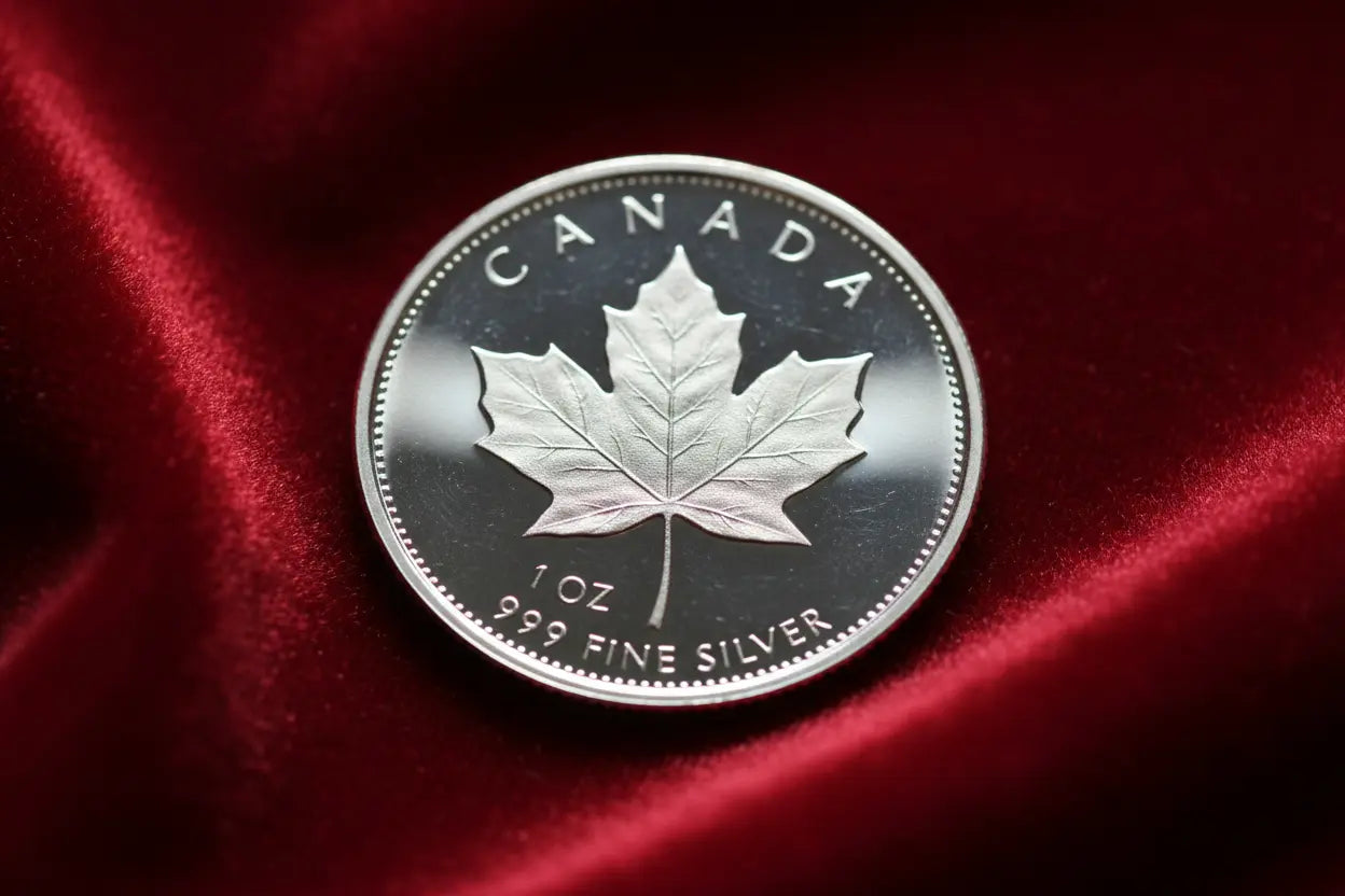 Canadian 1 oz Silver Maple Leaf Coin on Red Velvet
